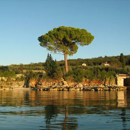 Skrnjug Appartement Brzac